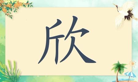 欣名字|带有欣字的女孩名字